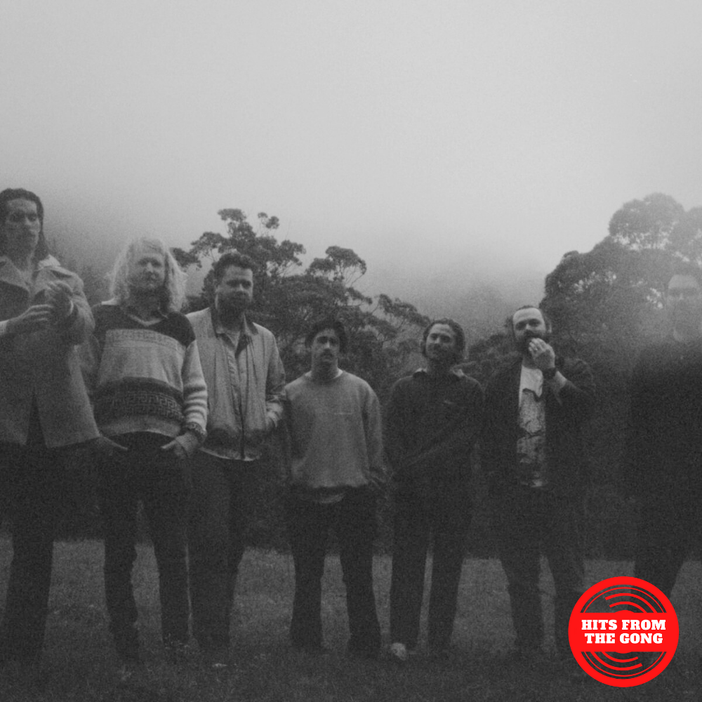 Hits From The Gong : Beyond 2000