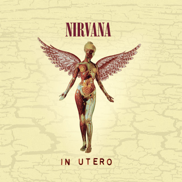 in utero 30th anniversary