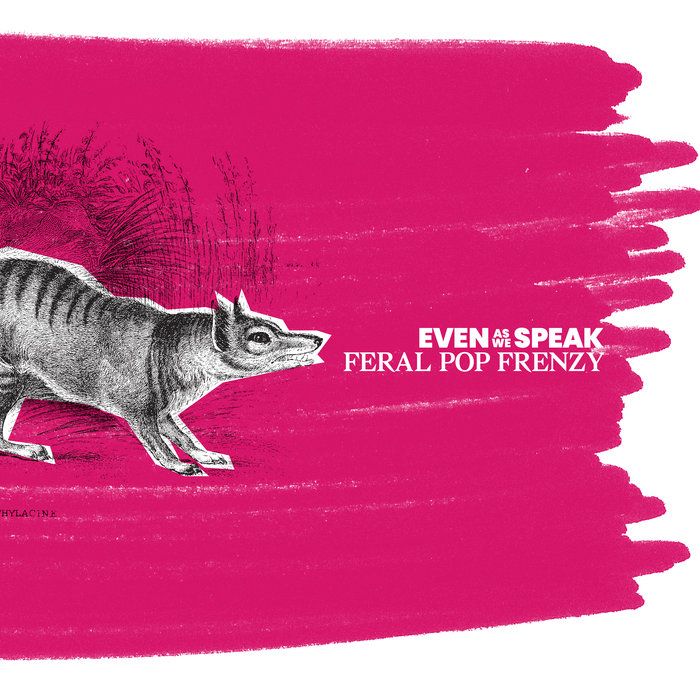 Feral Pop Frenzy
