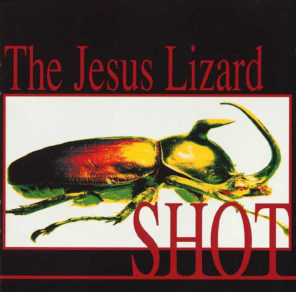 Shot