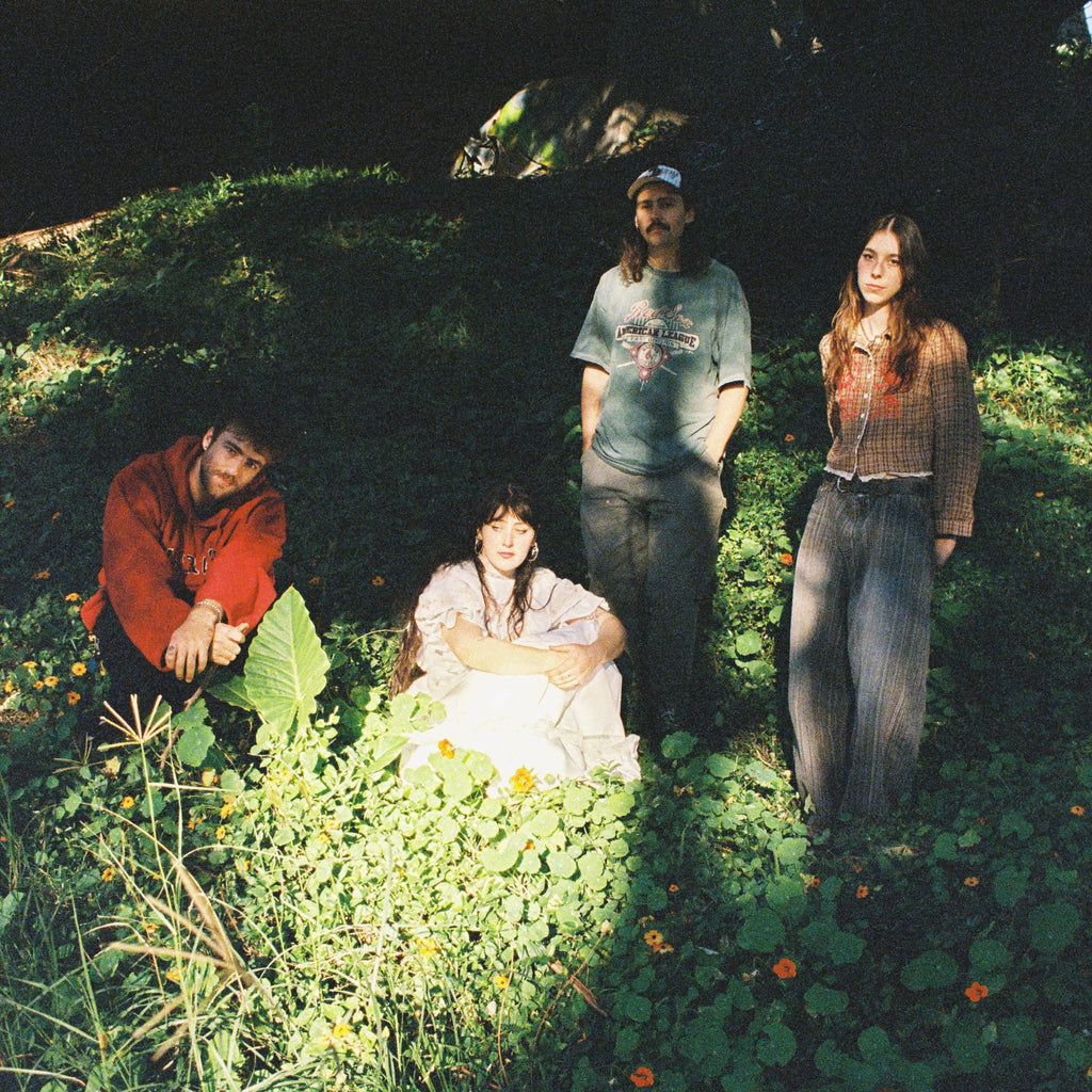 The Jungle Giants, Sesame Girl, Dice, Josh Pyke and more playing live around Wollongong over the next week