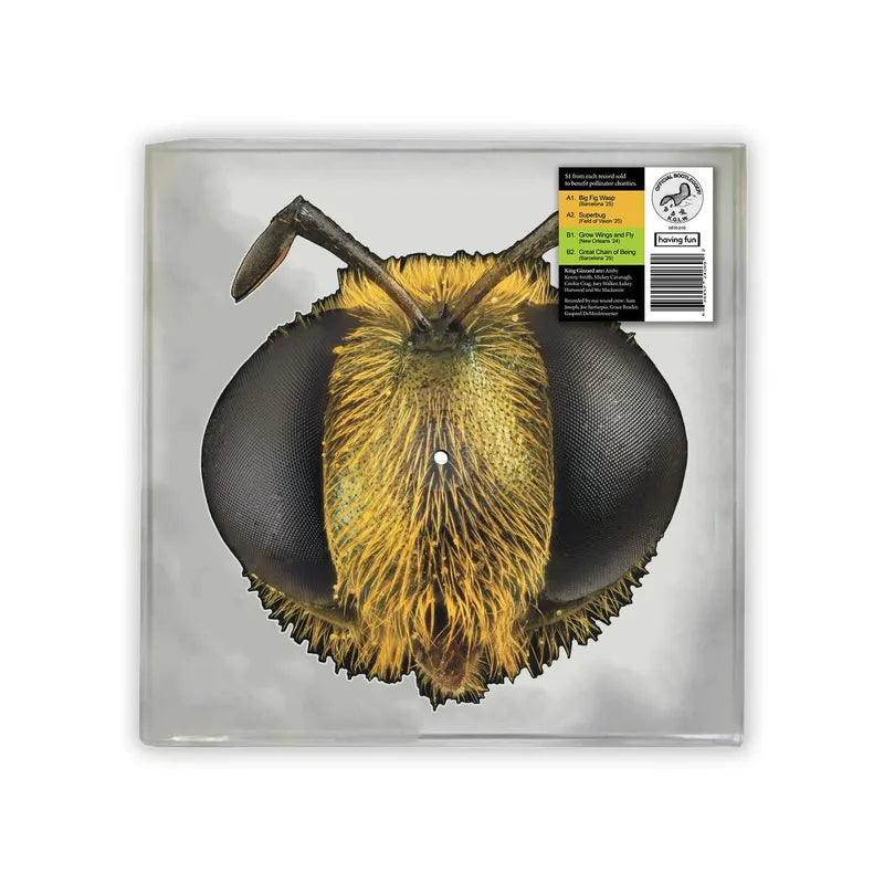 Big Fig Wasp