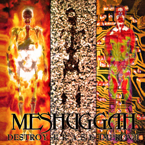 Destroy Erase Improve
