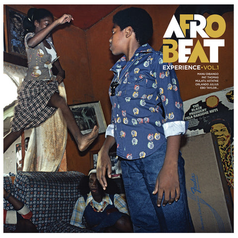 Afrobeat Experience Vol 1
